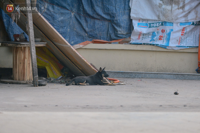 Do chưa được đưa vào sử dụng, một số người dân tận dụng làm nơi đỗ ô tô, thả gà, thả chó.