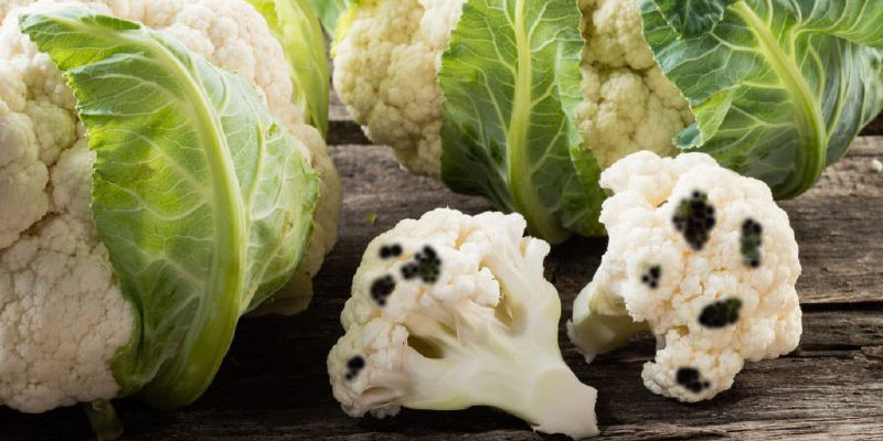 Bạn không nên ăn rau xanh để phòng ngừa nguy cơ nhiễm độc tố aflatoxin.