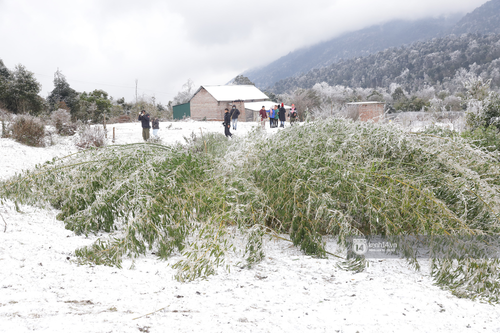 Ảnh: Tuyết Nguyễn