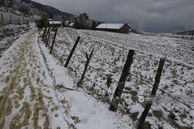 Ảnh: Tuyết Nguyễn