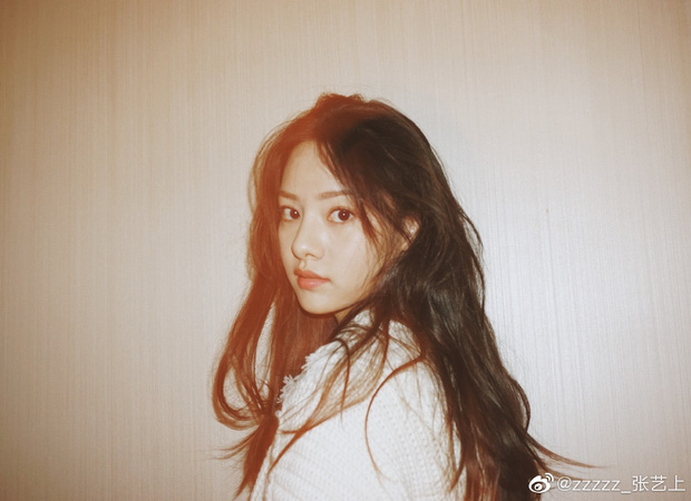 Nhan sắc của Trương Nghê Thượng - người từng là tiểu tam chen chân vào cuộc hôn nhân của Hoàng Cảnh Du và vợ cũ Vương Vũ Hinh