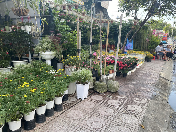 Một điểm bán hoa kiểng trên đường Thành Thái