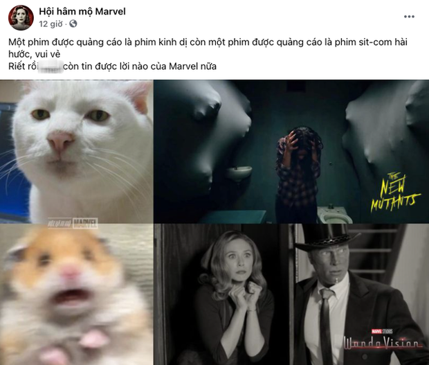 Một fanpage nổi tiếng so sánh độ kinh dị của WandaVision còn vượt mặt The New Mutants