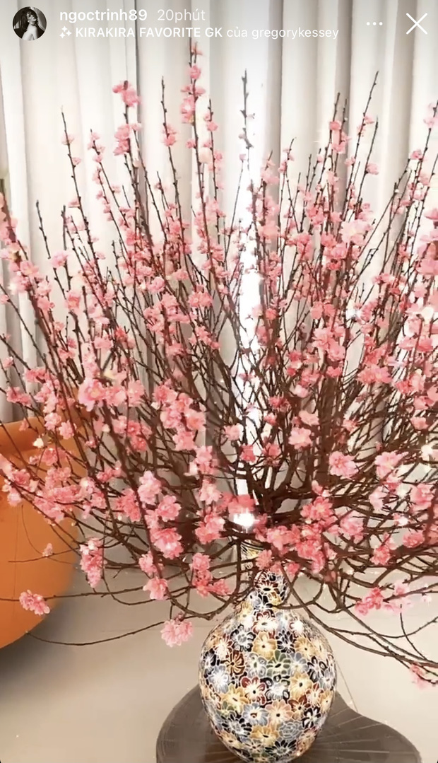 Chắc hẳn Ngọc Trinh sẽ còn chuẩn bị thêm rất nhiều thứ để trang trí căn nhà trong dịp Tết này rồi. Hãy cùng chờ xem căn biệt thự 40 tỷ của cô sẽ thay đổi như thế nào nhé!