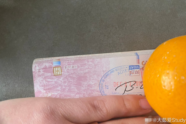 Một phần giấy tờ chứng nhận CEO này bay từ Thượng Hải sang Mỹ