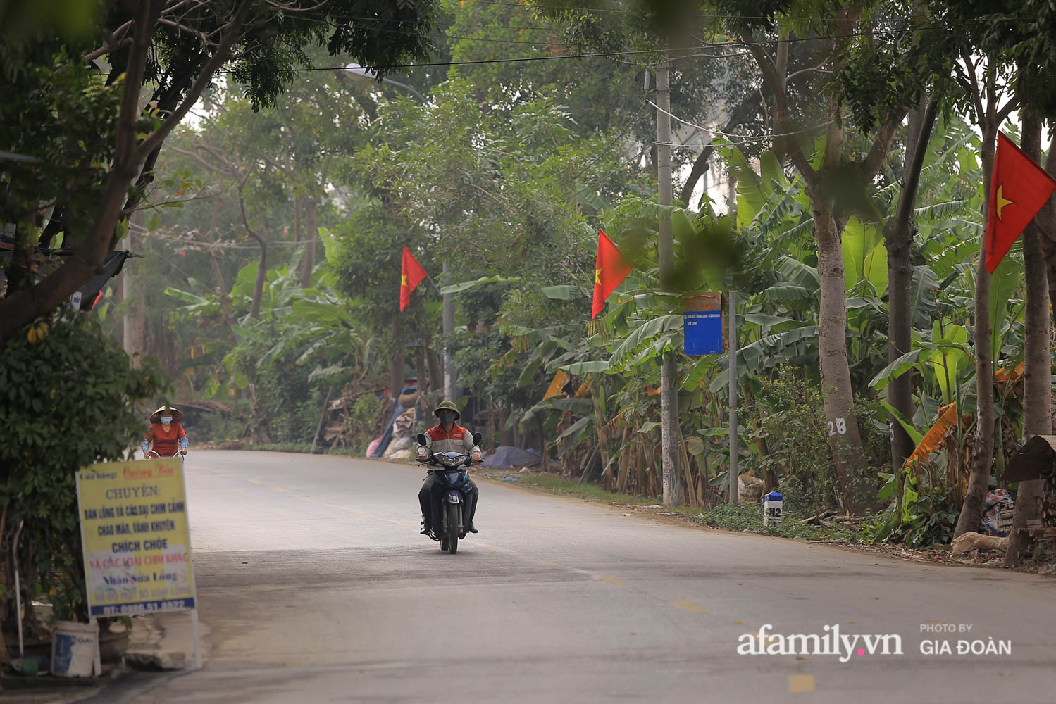 Con đường dẫn vào thôn Bạch Trữ.