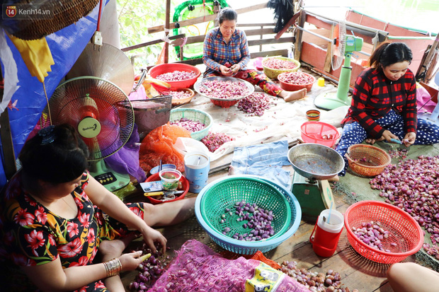 Vì đồng lương có phần eo hẹp nên nhiều hộ dân trong xóm hành tỏi không thể về quê ăn Tết, ai cũng mong năm mới đến sẽ có cho mình một sức khỏe tốt để bám trụ mưu sinh tại mảnh đất Sài Gòn