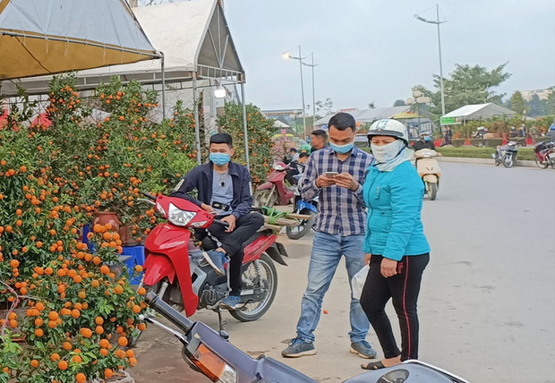 Cây cảnh tràn ngập thị trường nhưng người mua thưa thớt khiến 