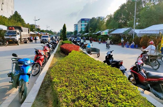 ...và hàng loạt chiếc xe dựng ở đường phố là đủ biết 