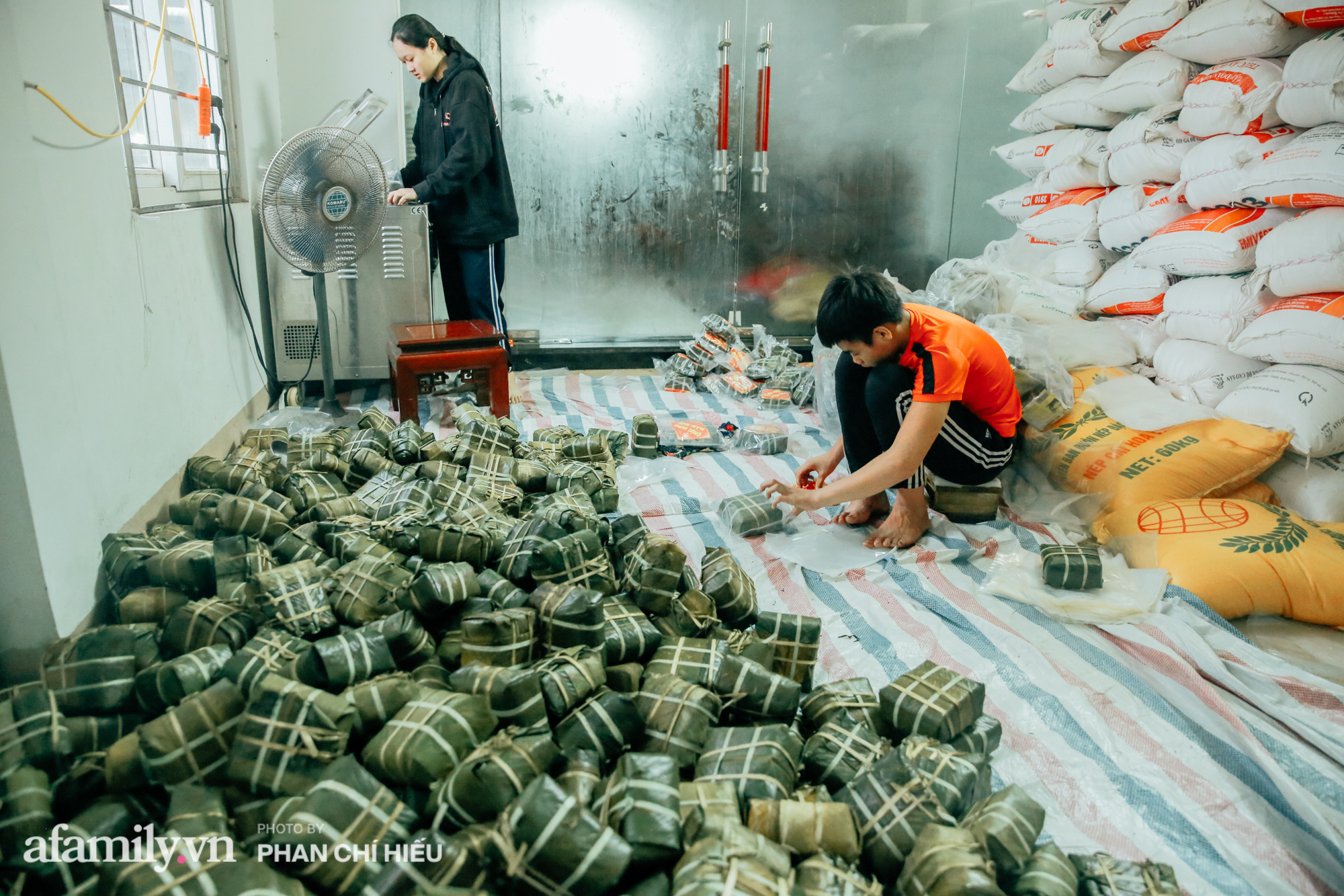 Bánh chưng được bảo quản trong nhà lạnh, hút chân không để bán tại nhiều tỉnh thành trên cả nước.