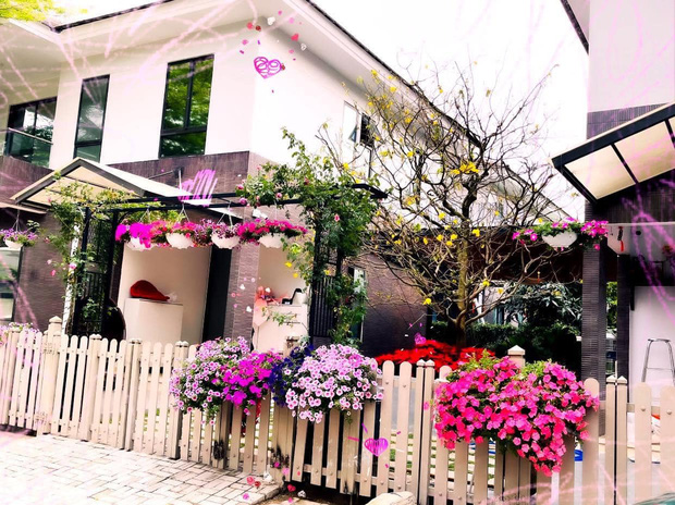 Đáng chú ý nhất là hình ảnh cây mai có giá lên tới 600 triệu đồng