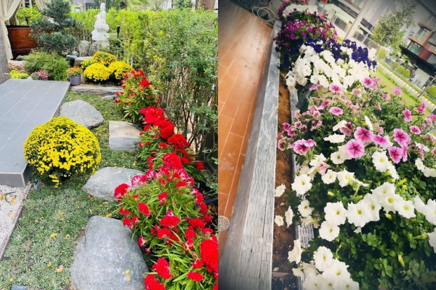 Các loại hoa đủ màu sắc được bày biện ở khắp nơi