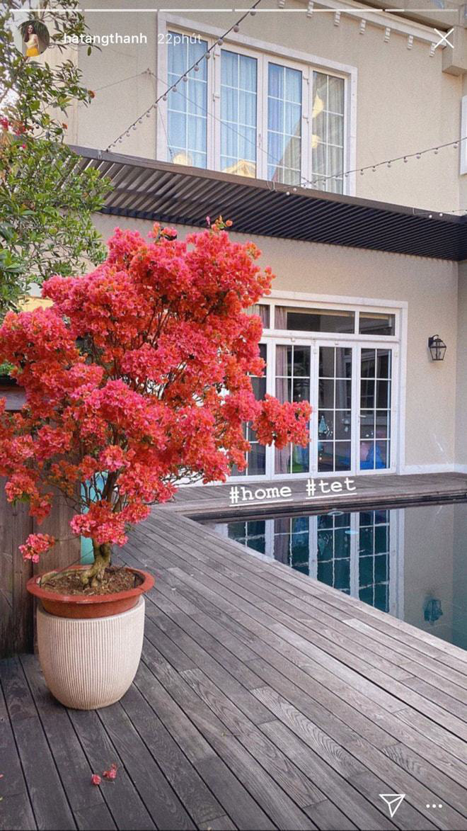 Tết miền Nam là không thể thiếu hoa mai vàng, bà xã Louis Nguyễn còn đặt thêm 1 chậu hoa giấy hồng rực 1 góc biệt thự triệu đô