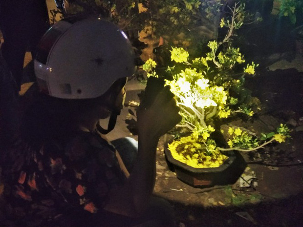 Người phụ nữ đang rọi đèn để mua hoa khi năm mới đến gần.