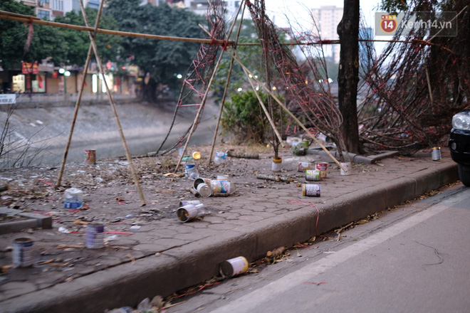 Nhiều cành đào nở bung, không thể bán được bị tiểu thương vứt bỏ ven đường