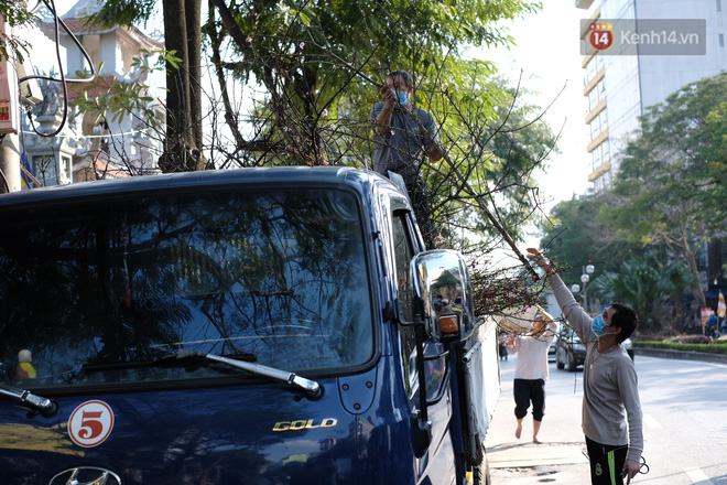 Năm nay, thay vì vứt la liệt ngoài phố như năm ngoái, đa phần các tiểu thương đều có ý thức giữ gìn cảnh quan môi trường hơn khi chấp nhận chở cây cảnh bỏ đi tới điểm tập kết, chờ xe rác tới thu gom