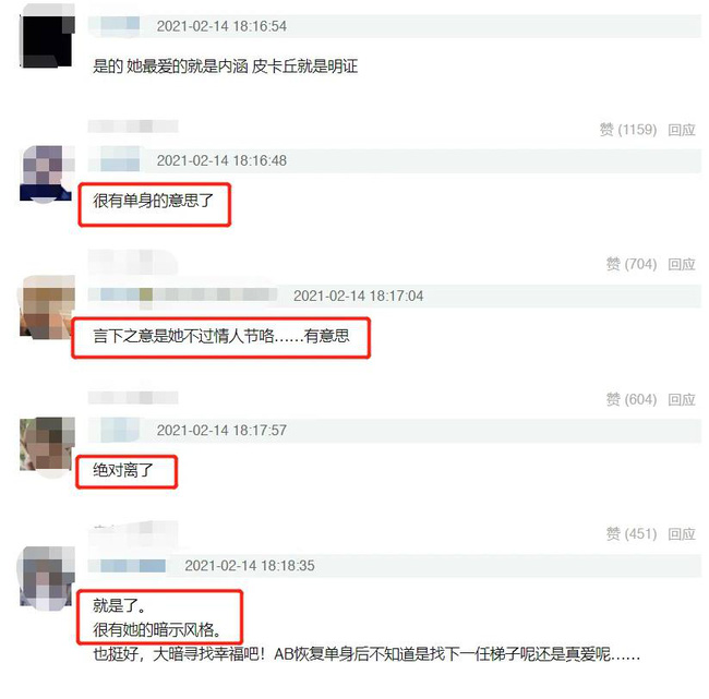 Netizen tin rằng người đẹp đang ngầm ám chỉ việc cô độc thân.