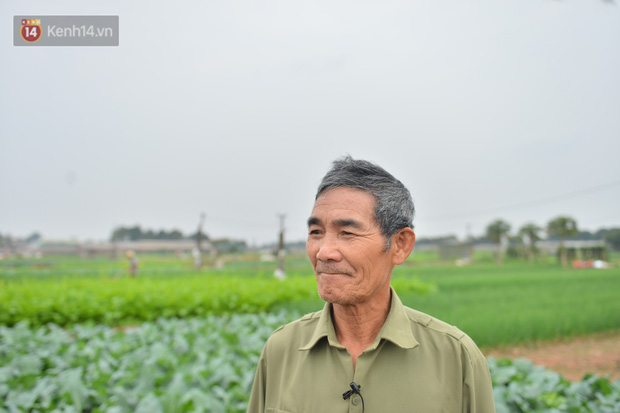 Ông Chuyền buồn bã vì rau rẻ không bán được