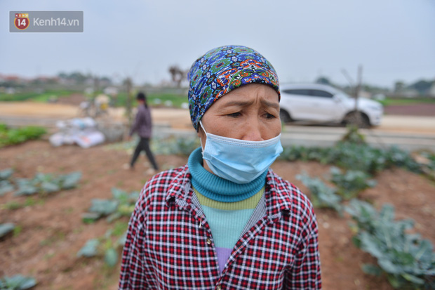 Bà Bao buồn bã vì rau không bán được