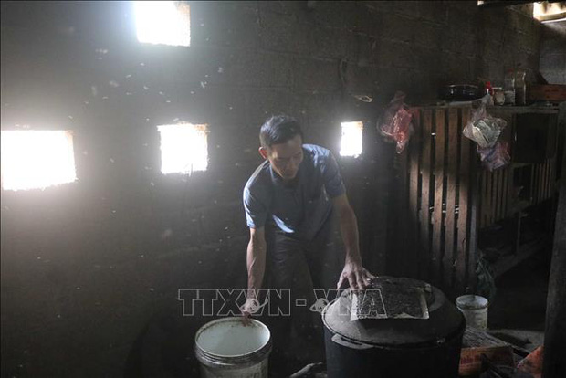 Ruồi bùng phát làm ảnh hưởng đến cuộc sống người dân xóm 5, xã Chu Trinh, thành phố Cao Bằng, tỉnh Cao Bằng.