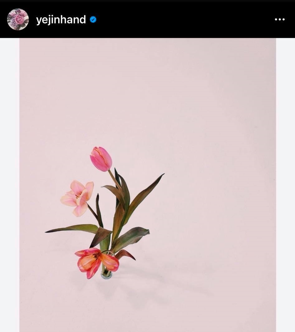 Bài đăng về hoa tương tự nhau của Song Hye Kyo và Son Ye Jin