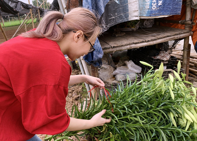 Cũng trong dịp này, nhiều bạn trẻ tranh thủ có mặt tại các ruộng hoa để lựa cho mình những bông loa kèn đẹp nhất về cắm và thưởng thức vẻ đẹp đặc trưng của tháng 4.