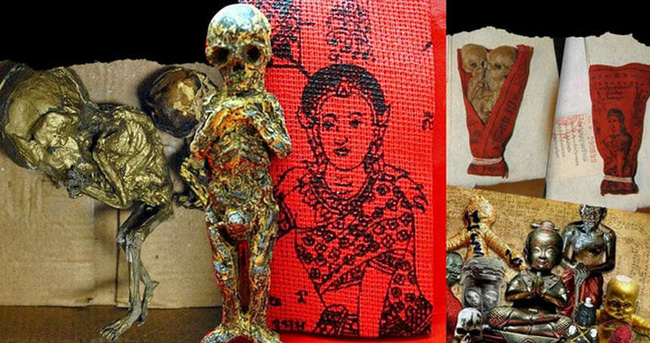 Những bào thai bị sấy khô để làm Kumanthong.