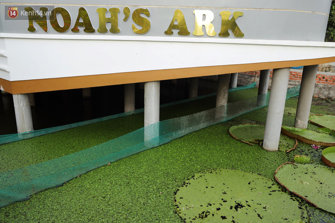 Kết cấu của nhà du thuyền cũng hết sức đặc sắc, các phòng ốc được bày trí đẹp mắt, sang trọng