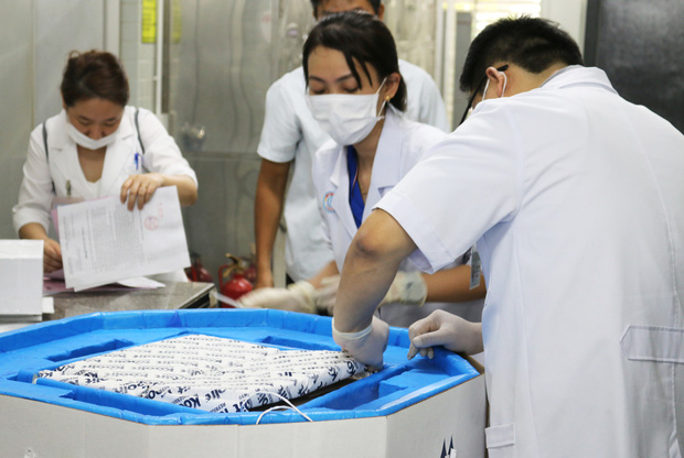 Cận cảnh các y bác sĩ tại BV Chợ Rẫy tiếp nhận thuốc giải độc tố Botulinum