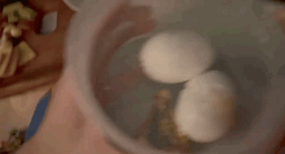 Lê Dương Bảo Lâm phát hiện ra bữa ăn của Trường Giang do Nhã Phương chuẩn bị để chồng ép cân