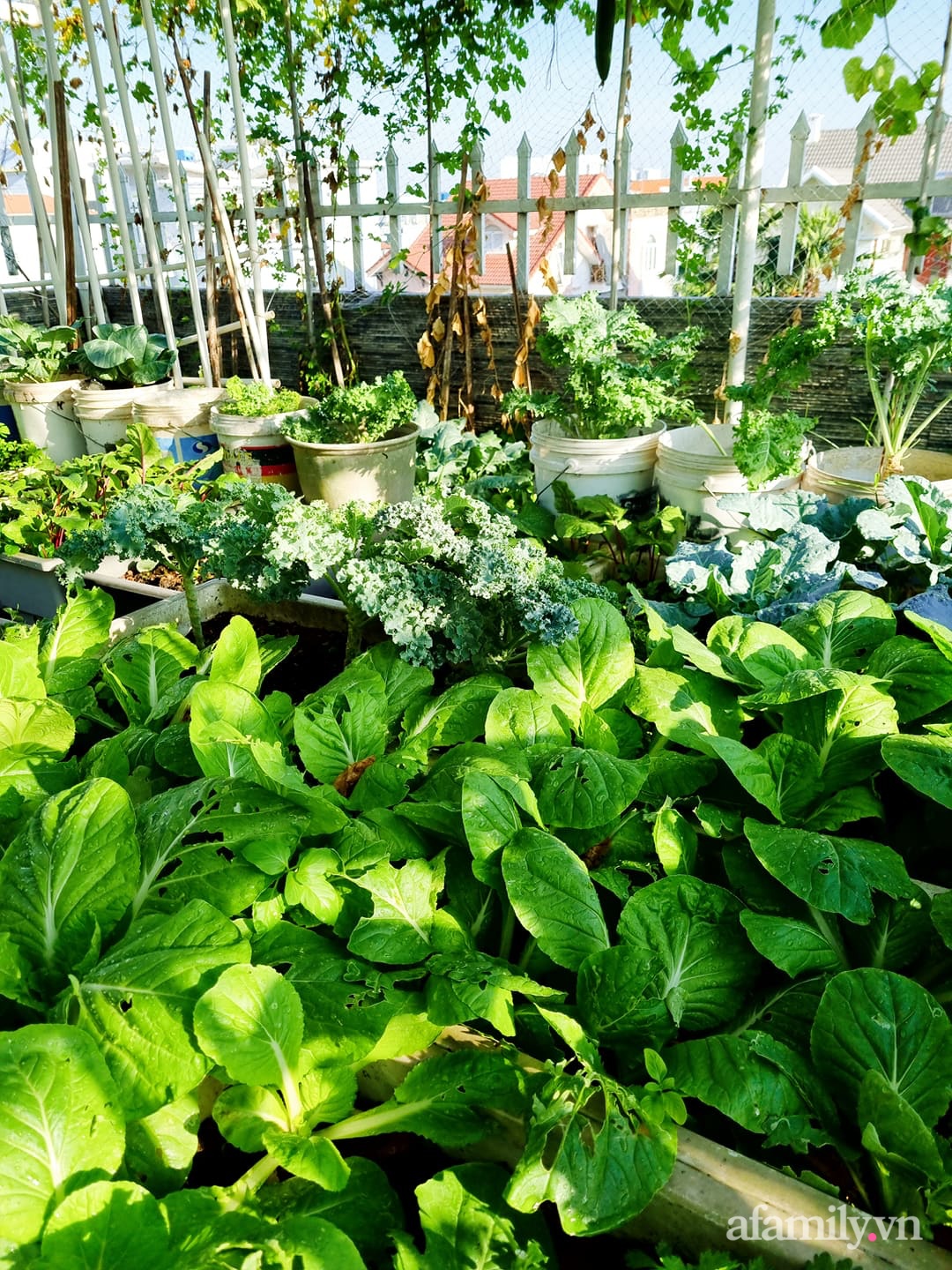 Một góc thông thoáng được sắp xếp gọn gàng.