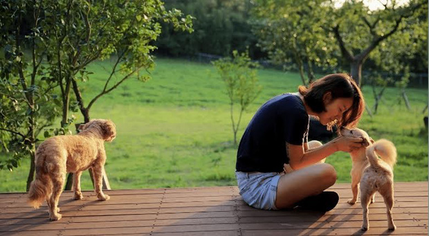 Bên cạnh Lee Hyori luôn có sự đồng hành của những chú cún cưng