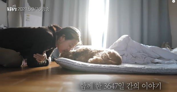 Lee Hyori và chú chó cưng đầu tiên Soonshim cùng nhau xuất hiện trên Animal Farm