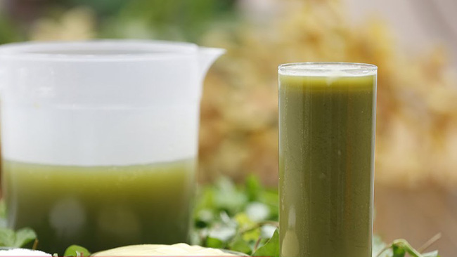 Uống nước ép rau diếp cá với dứa vì sao có thể gây ngộ độc thực phẩm?