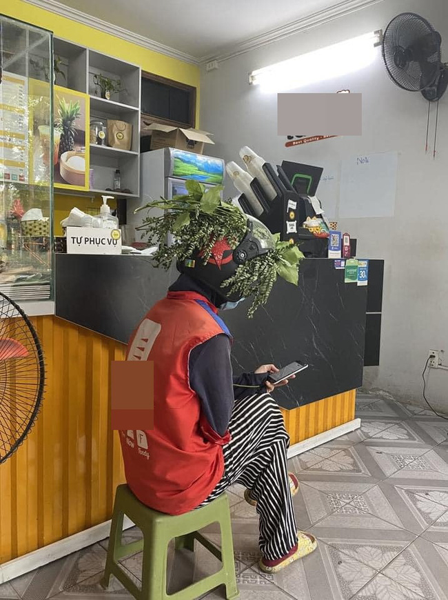 Anh shipper phải dùng cành cây để ngụy trang chống nắng.