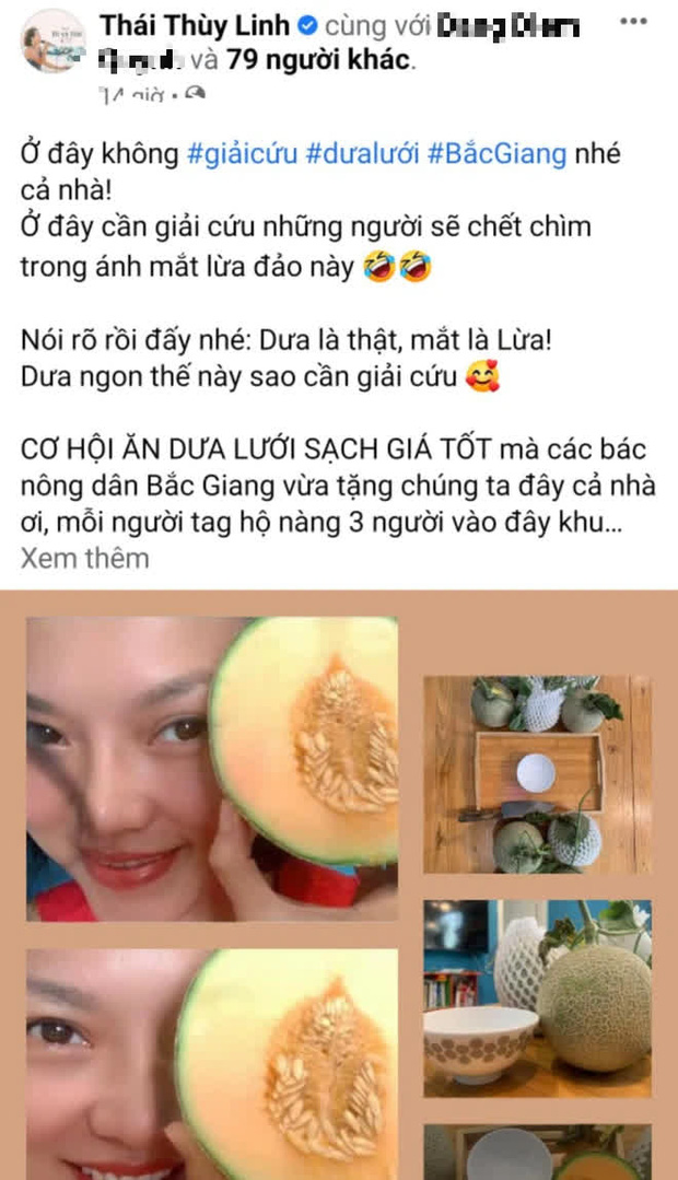 Bài đăng của Thái Thùy Linh nhanh chóng thu hút sự chú ý từ netizen