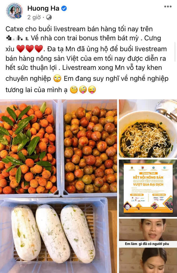 Đích thân Hà Hương cũng ra tay mua mận, vải thiều và bí xanh để cứu trợ bà con và xem đó như cát xê sau hoạt động livestream bán nông sản cho bà con