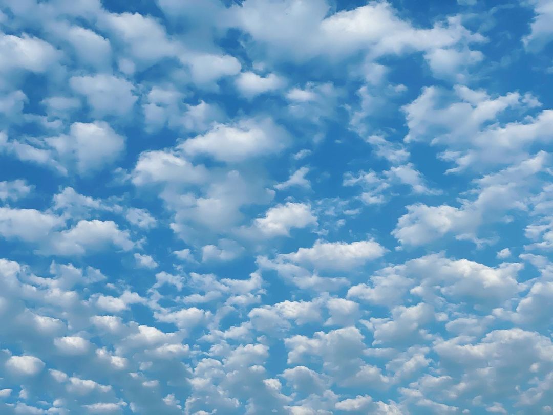 Hình ảnh trên trang cá nhân của Song Hye Kyo. 