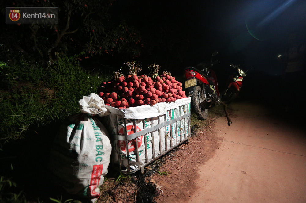 Sau đó chuyển vào từng sọt, mỗi sọt có thể chứa 170 - 200kg vải