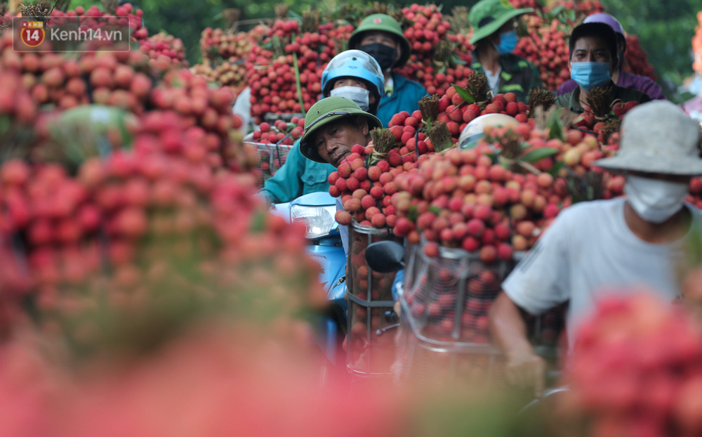 Việc người dân đồng loạt đi bán vải khiến con đường tiến vào thị trấn Chũ, thị trấn Kim luôn trong tình trạng ùn tắc vào buổi sáng