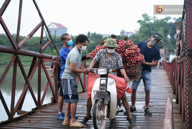 Những chiếc xe máy chở hàng tạ vải nối đuôi nhau từ khắp các tuyến đường đổ về trung tâm huyện, nhiều thôn xã người dân phải di chuyển qua cầu phao vượt sông Lục Nam