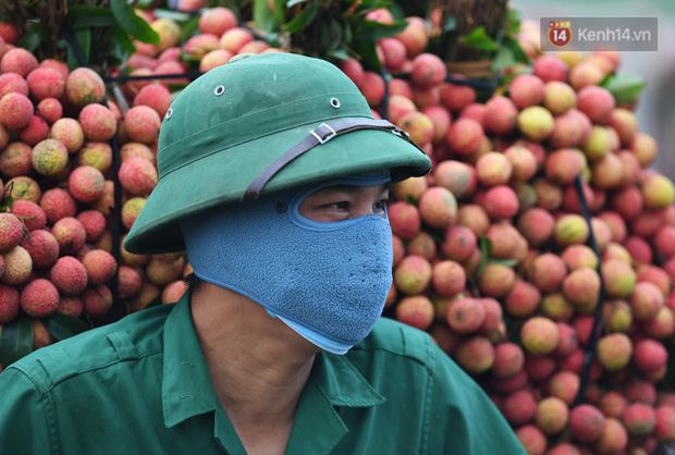 Mùa thu hoạch vải tại đây cũng là lúc Bắc Giang đang trong tâm của làn sóng dịch Covid-19 lần thứ 4 nên mọi hoạt động đều phải đảm bảo an toàn phòng chống dịch. Một người thồ vải tự bảo vệ mình khi ra điểm thu mua với 2 lớp khẩu trang và 1 lớp vải chống nắng