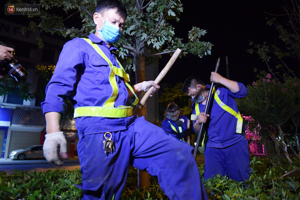 Theo các công nhân chia sẻ, việc di dời tiến hành vào đêm đảm bảo cho cây không bị khô lá và không gây ảnh hưởng giao thông khi đường phố vắng vẻ