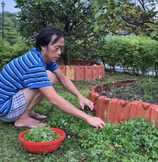 NS Hoài Linh sinh hoạt tại khuôn viên của đền thờ, nam danh hài tự tay chăm sóc vườn cây và chăn nuôi động vật quý hiếm