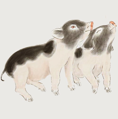 4 con giáp có số mệnh tốt nhất, đi tới đâu cũng gặp quý nhân - 1