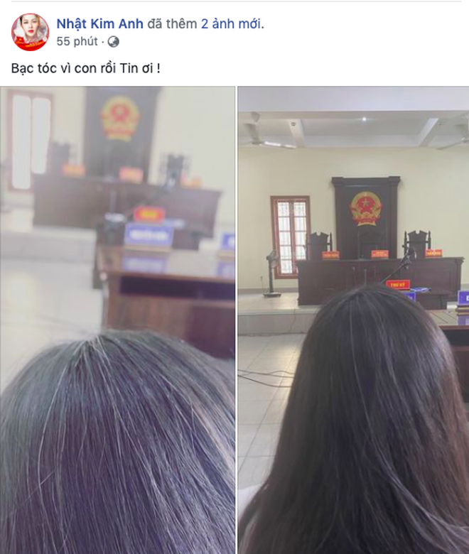 Sau quá trình dài quyết đấu với chồng cũ, Nhật Kim Anh đã được toà án trao cho quyền chăm sóc bé Bửu Long