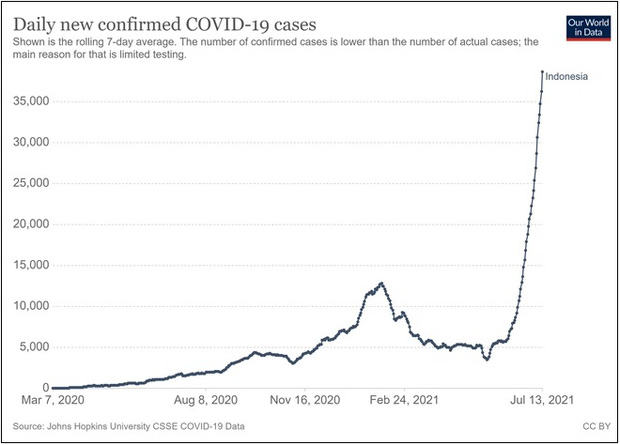 Biểu đồ ca nhiễm Covid-19 theo ngày của Indonesia đang tăng thẳng đứng (Nguồn: Our World in Data)