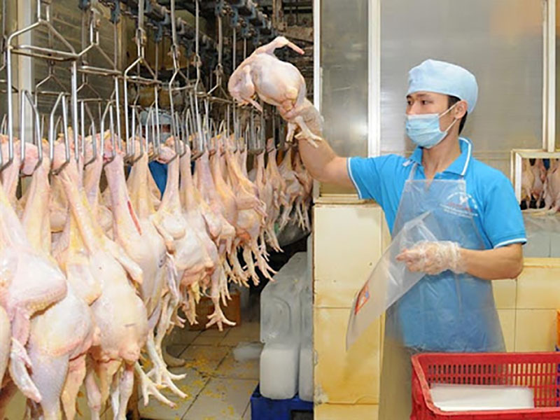 Nhiều cơ sở giết mổ tạm dừng hoạt động khiến chuỗi cung ứng tắc nghẽn (ảnh: IT)