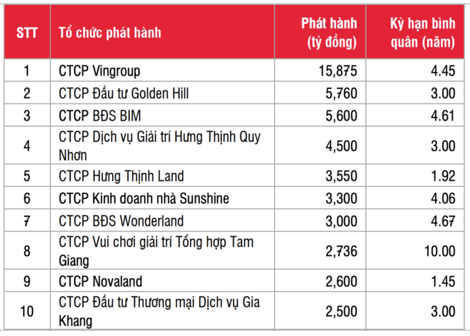 10 doanh nghiệp bất động sản phát hành trái phiếu nhiều nhất trong 6 tháng (Nguồn:SSI)