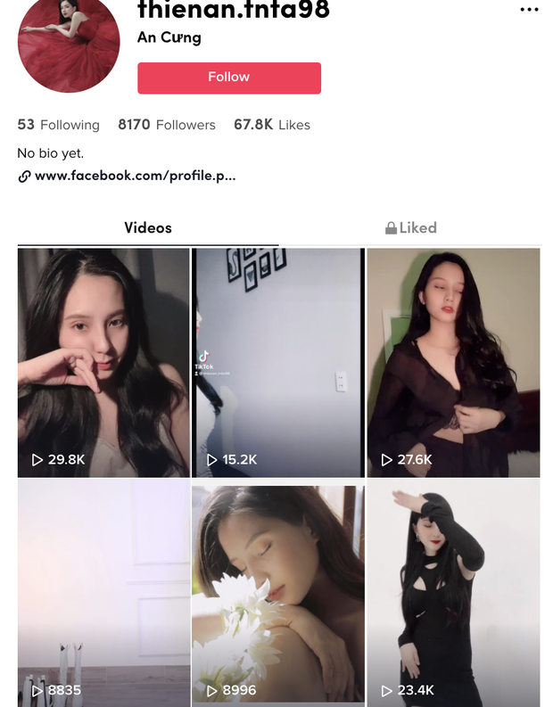 Trang TikTok của Thiên An cũng không chia sẻ clip nào vào ngày 1/4